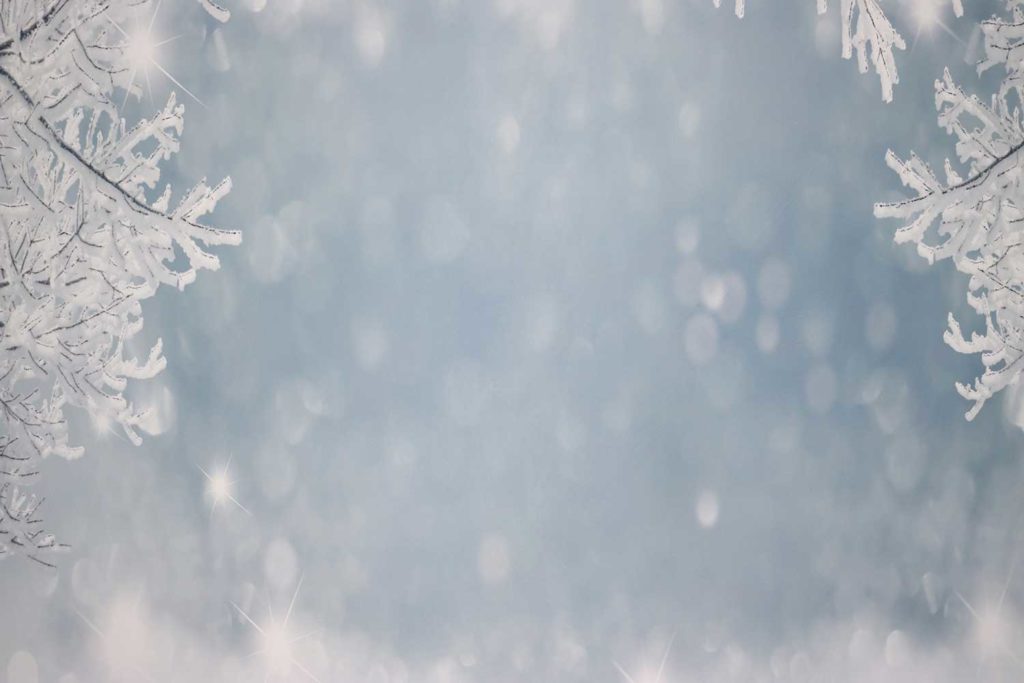 Winter Wonderland Backdrop